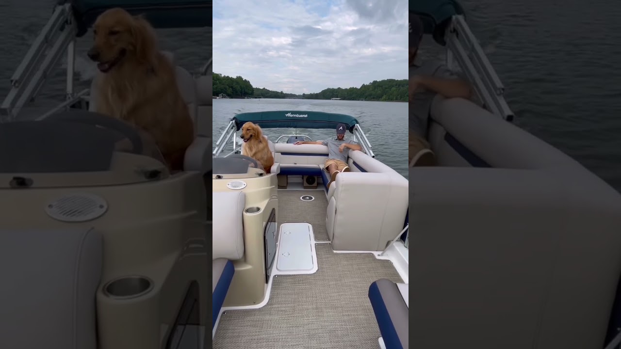 My dog crashed our boat! 