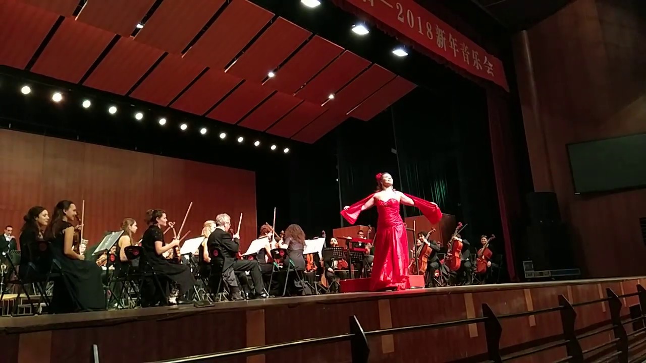 The Juliska Aus Budapest Lyrics By Andre Rieu Lyrics On Demand