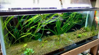 Clean this Tank!