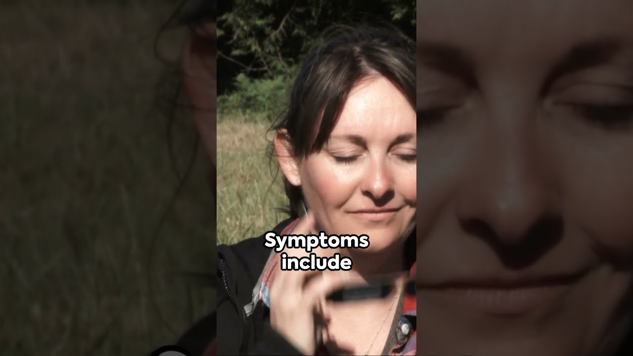 The Solar Eclipse: The Impact on Your Eyes