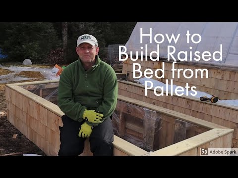 how-to-make-a-raised-bed-out-of-pallets---the-beginners-guide-to-growing-your-own-veg-part-6
