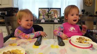 Twins try Swedish meatballs