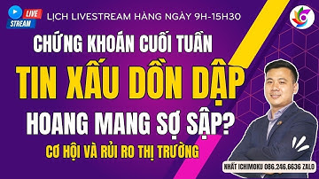 Nhận định chứng khoán cuối tuần, hoang mang tin xấu khởi tố thao túng cổ phiếu họ APEC IDJ API APS