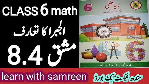 class 6 maths exercise 8.4| introduction  of algebra| Sindh Text Book Board