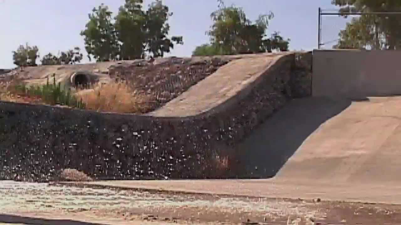 Cameo Wilson Official Introduction