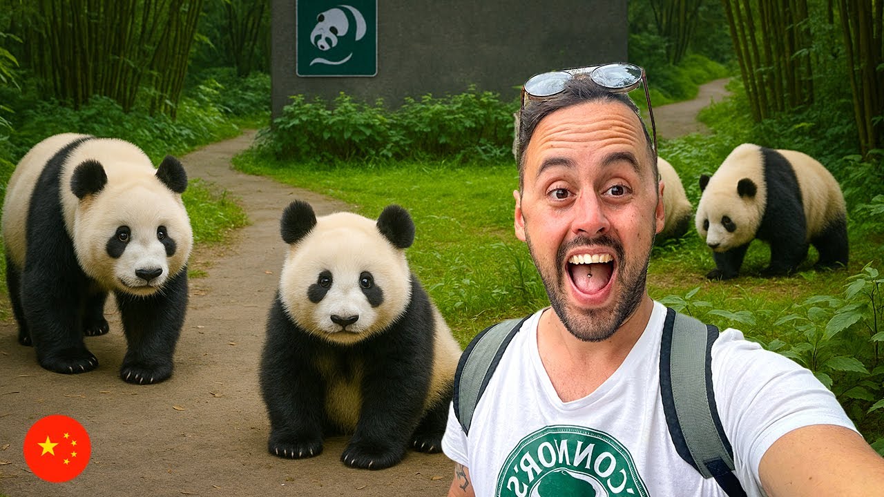 Исследуем Центр панд в Чэнду 🇨🇳 | Самая очаровательная достопримечательность Китая 🐼 |