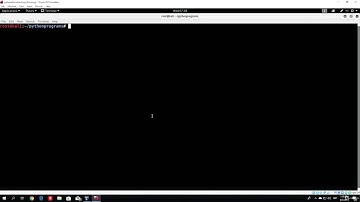 L6 (#2) Coding a simple port scanner