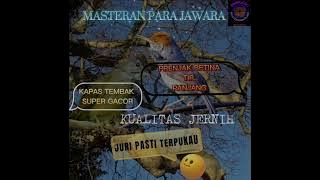 Kapas Tembak Mbeset Full Tembakan vs Suara Prenjak Tembakan Pedas Panjang 2in1