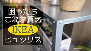 【IKEA】困ったらこれな激安棚「ヒュッリス」にグリーン置いてみた！