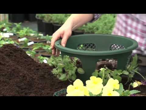 Come piantare Easi Hanging Basket