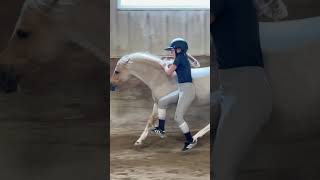 Completely tackless bareback vaulting. Emma and Gabby had some fun yesterday.❤️💪#horse #equestrian