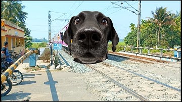 Dangerous DOG Headed Howrah-Katwa Emu Local Train Furious Moving Throughout At Railgate
