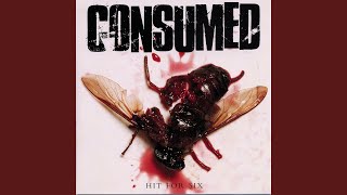 Video thumbnail of "Consumed - Butterside Down"