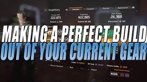 The Division - Making The Perfect Build For YOU!