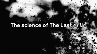 The Science of 'The Last of Us' - Could A Fungal Pandemic End Us?