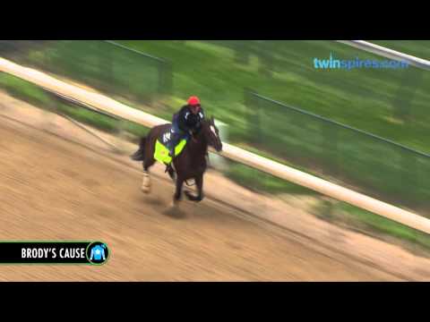 horseshoe bend Brody's Cause works 4.23