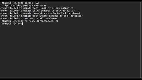 How To Fix unable to lock database error - Arch Linux