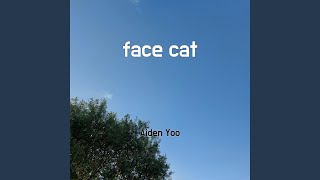 face cat