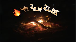 كشتة برية 