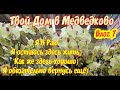 Влог 7. Орхидеи,цветы,препараты Самый красивый, самый лучший магазин в Москве ТВОЙ ДОМ В МЕДВЕДКОВО