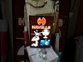 Video Image
