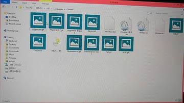 PL-3D-5555 program language change method for windows 8 system