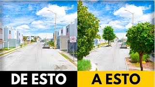 ¿Cómo REFORESTAR Rápidamente Nuestras Ciudades? || Urbanópolis