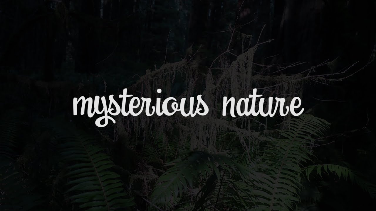 Mysterious Nature | Travel for Kids