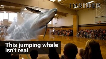 This whale isn