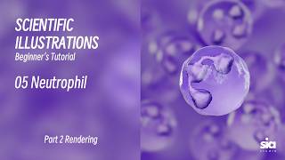 Beginner C4D Tutorial for Scientific Visualization | High-Quality Rendering Guide | 05 Neutrophil
