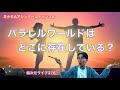 超次元ライブ376【パラレルワールドはどこに存在している?】ミナミAアシュタールチャンネル