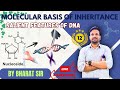 Salient Features of DNA| Molecular Basis of inheritance |Class-12|Part- 5| By Bharat Sir # biology 