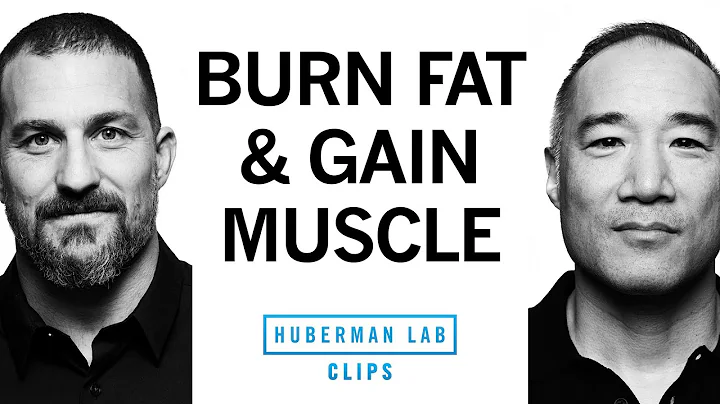 Body Recomposition: How to Burn Fat & Gain Muscle | Alan Aragon & Dr. Andrew Huberman thumbnail
