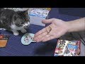 なかなかおやつが食べれなくて四苦八苦する猫☆おやつを食べるリキちゃんをドアップで見てみよう☆いなば焼かつおに舌鼓【リキちゃんねる　猫動画】Cat video　キジトラ猫との暮らし