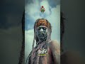 ❤️Nagpur’s Biggest Festival #marbat 😍 #youtube #aghori #aghoribaba #nagpur #youtubeshorts #shorts