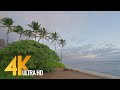 4K Sunrise at Maui Island - Relaxing Sound of Ocean Waves Crashing (3 HRS)