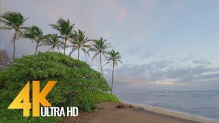 4K Sunrise at Maui Island  Relaxing Sound of Ocean Waves Crashing (3 HRS)