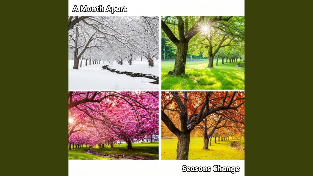 Seasons Change YouTube
