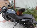 Мотоцикл Bajaj Dominar 400.  Обзор от ВЛАДЕЛЬЦА.