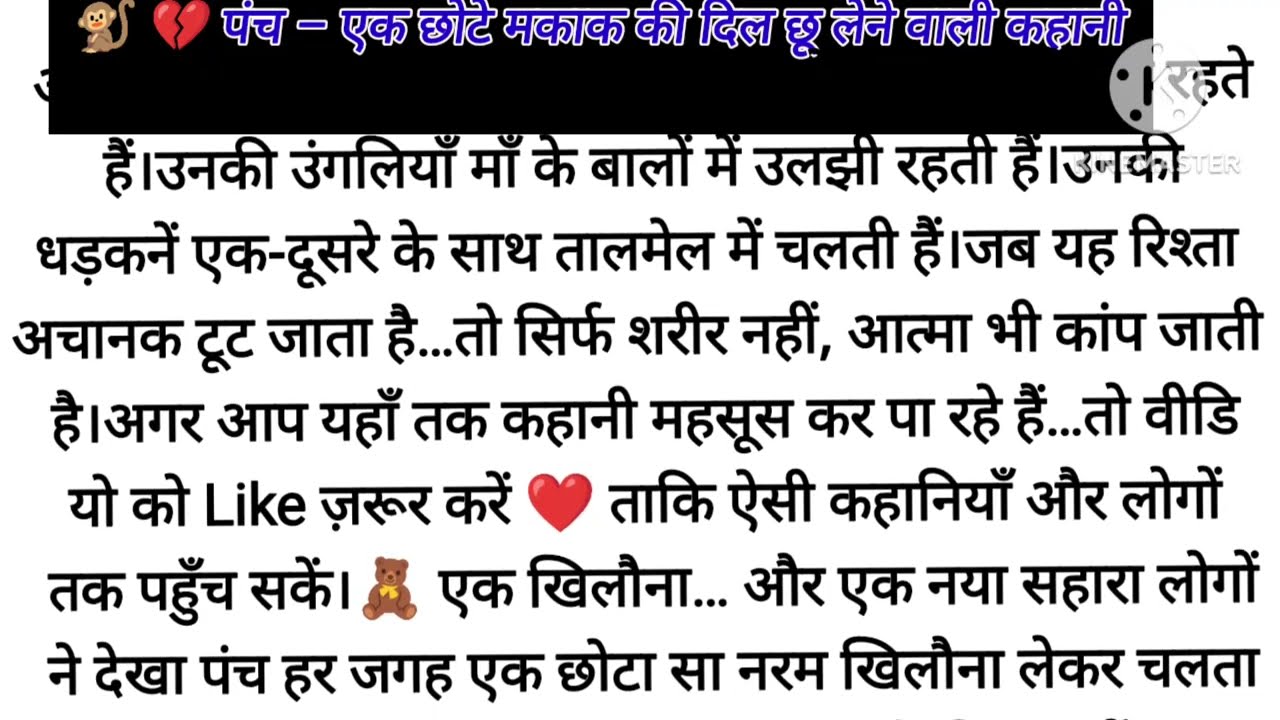 🐒 Punch’s Story💔 |  पंच – एक दिल छू लेने वाली कहानी |  Rejected Baby Monkey Finds Comfort in a Toy