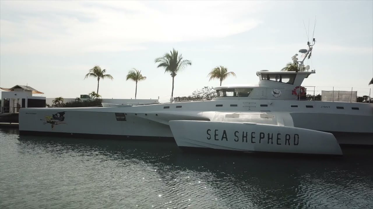 Sea Shepherd’s Brigitte Bardot