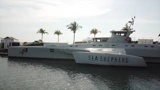 Sea Shepherd's Brigitte Bardot