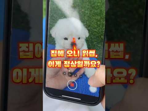 집에 데려오니 읽씹, 이게 정상일까요?