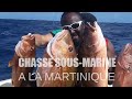 Chasses sousmarines en martinique