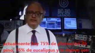 Tomas Moschiatti, Decreto 701 el abuso de las Forestales es por ley