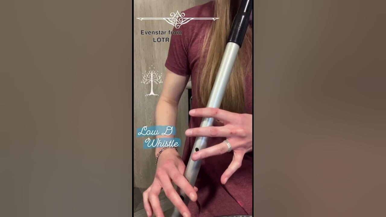 Evenstar from Lord of the Rings on Low D Whistle
