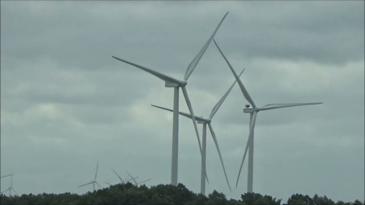 Nowa farma wiatrowa w Pelplinie przy A1