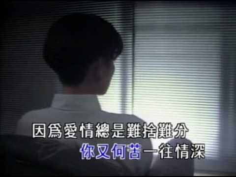 陳淑樺 夢醒時份KTV
