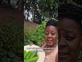 Cucumbers are here! Subscribe, watch, and share! #gardening