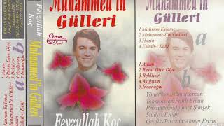 Feyzullah Koç - İnsanoğlu [1999]